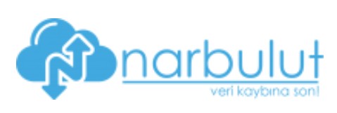 NARBULUT Backup Now 20 GB Standard Edition-1 WORKSTATION-1YIL