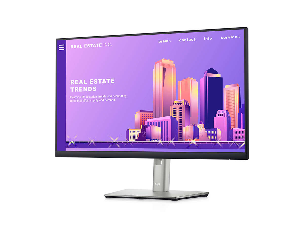 23.8" DELL P2422H IPS 5ms 60Hz 250nt HDMI VGA DP VESA Pivot 3Yıl Garanti Monitör